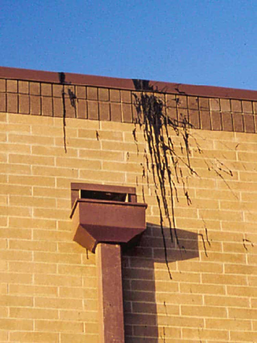 Brick building with a bird feeder attached to the side