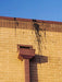 Brick building with a bird feeder attached to the side