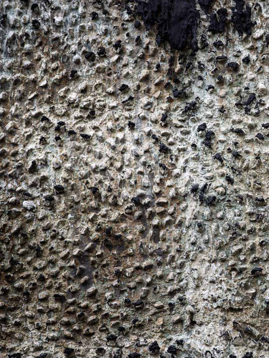 Close-up of a textured surface with black and gray patterns
