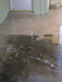 Cleaner Degreaser applied to concrete floor removing oil stains and preparing surface for coating