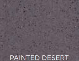 Text 'PAINTED DESERT' on a textured gray background