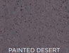 Text 'PAINTED DESERT' on a textured gray background
