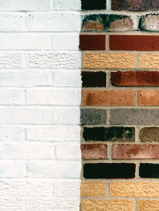 Close-up of a brick wall with a white background
